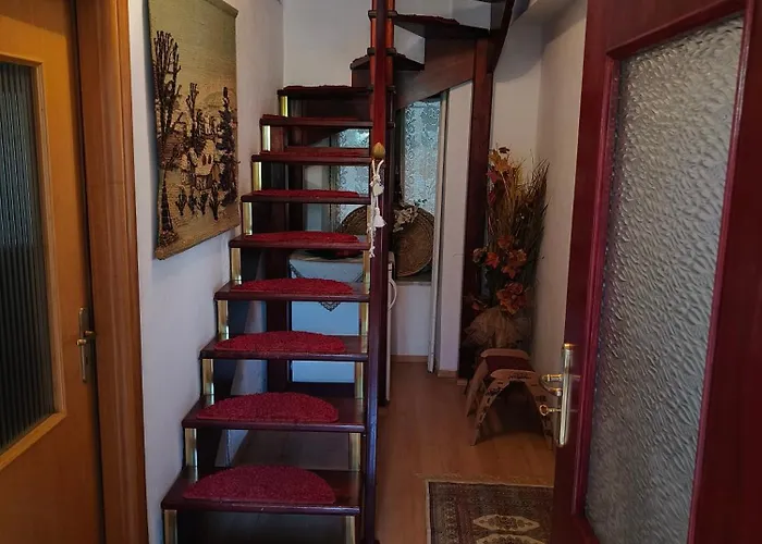 Anilion Escape